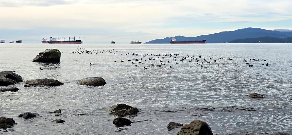 Фотографія На рейді. / Ольга / photographers.ua