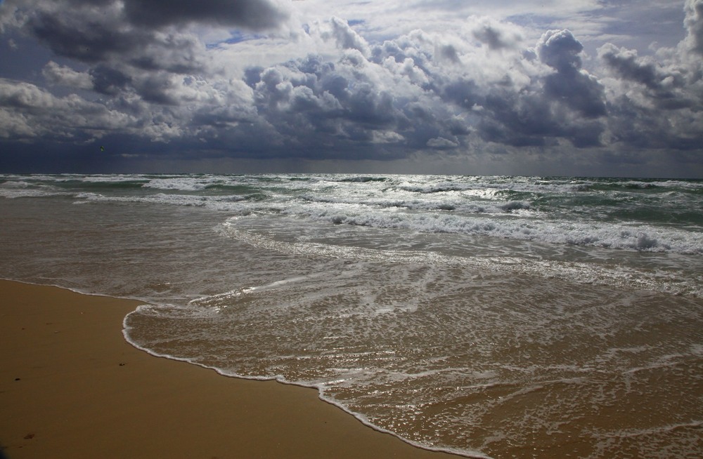 Фотографія Морські мережива. / Ольга / photographers.ua