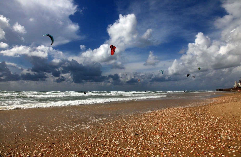 Фотографія Коли на морi  вiтер. / Ольга / photographers.ua