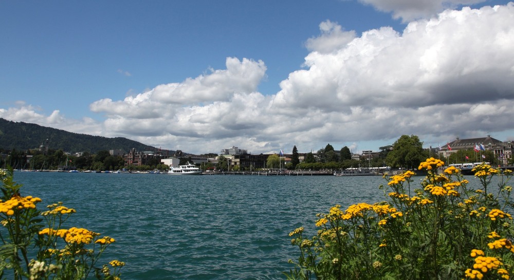 Фотографія Цюрiхське озеро. / Ольга / photographers.ua