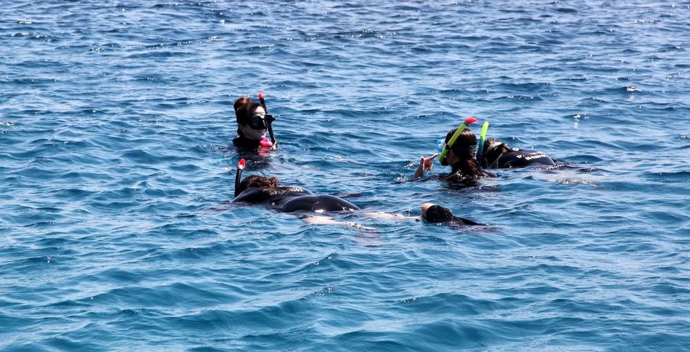 Фотографія Про дiвчат у Червоному морi. / Ольга / photographers.ua