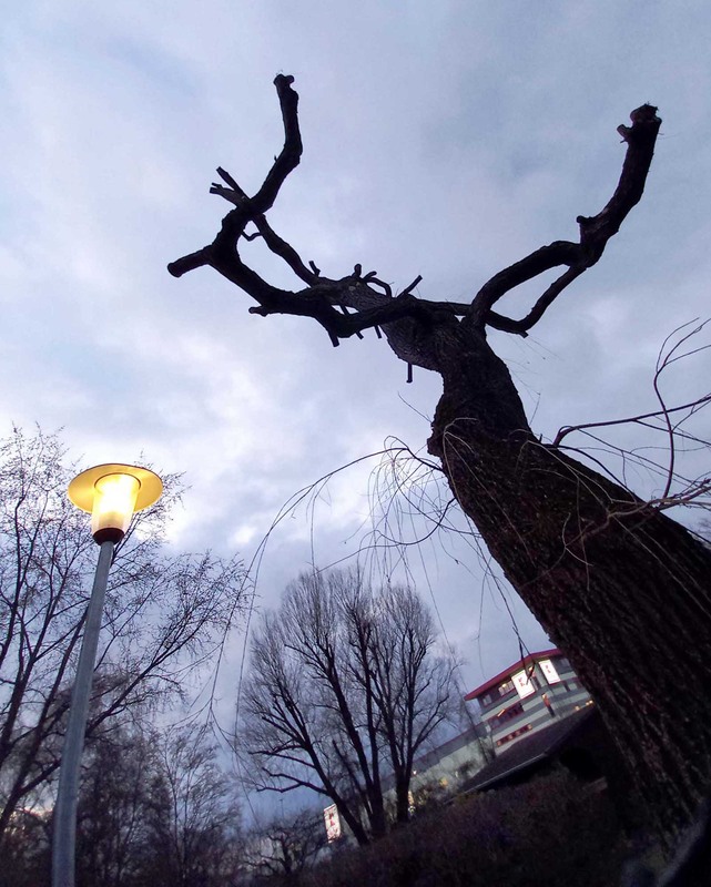 Фотографія Кронований танок / Сергей Порфирьев / photographers.ua