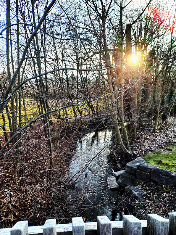 Фотографія Сонце Гольдбаху / Сергей Порфирьев / photographers.ua