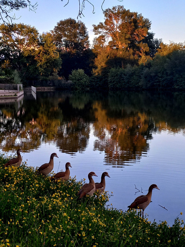 Фотографія На Льодовому озері в Зіндельфінгені / Сергей Порфирьев / photographers.ua