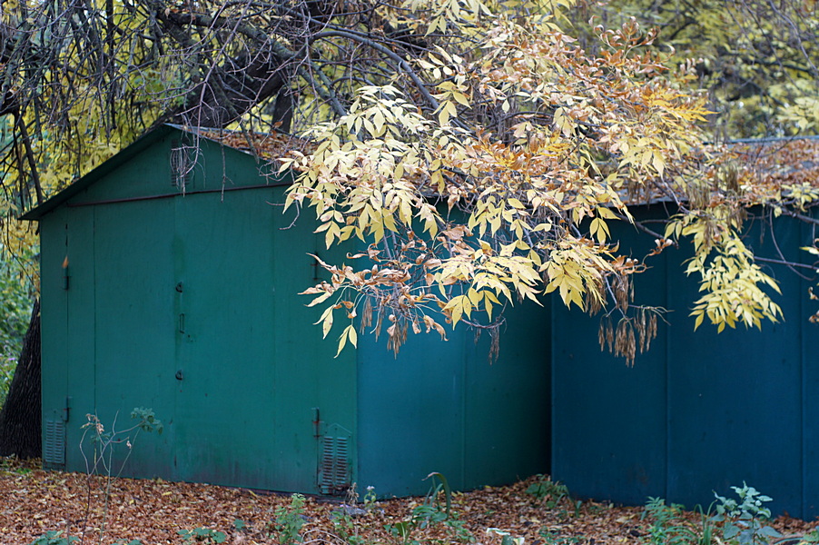 Фотографія За гаражами осінь... / Сергей Порфирьев / photographers.ua