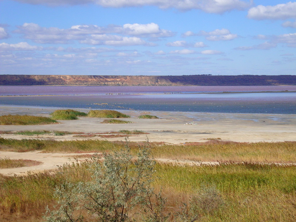 Фотографія Розовое утро в пастельных тонах / Jana / photographers.ua