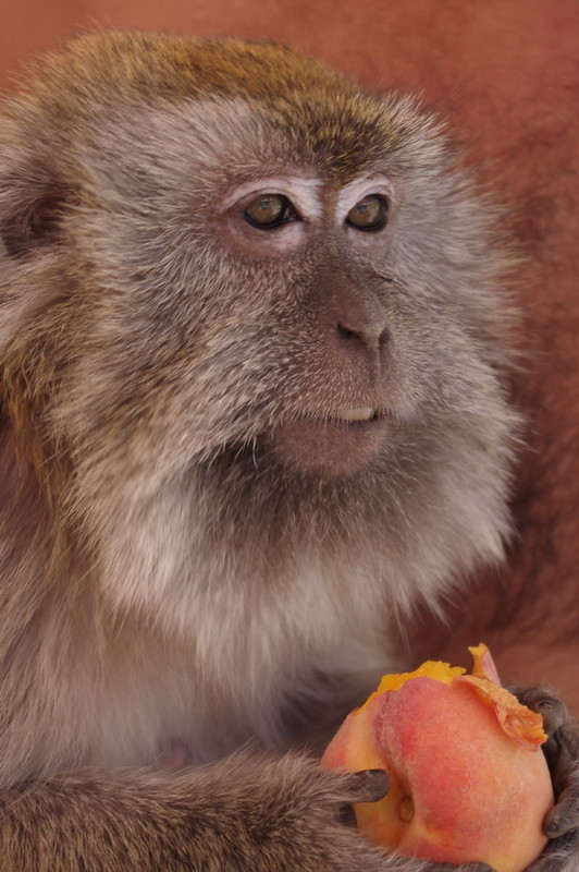 Фотографія Абу / Евгений / photographers.ua
