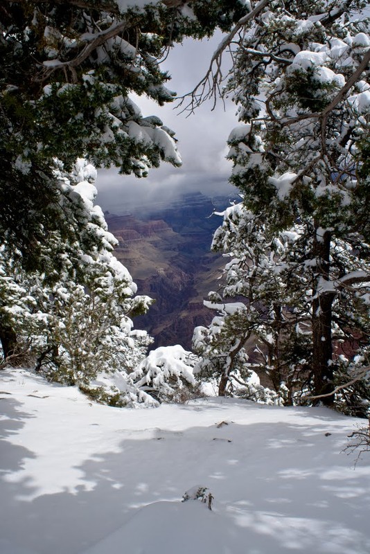 Фотографія Гранд каньон  летом замело снегом / Лена Обушевская / photographers.ua