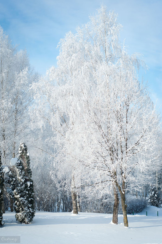 Фотографія зимові картини.. / Олександр Клебанюк / photographers.ua