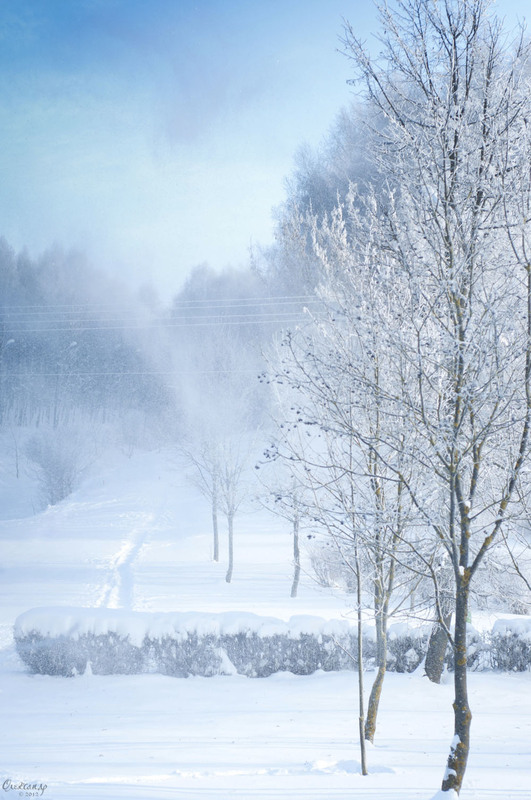 Фотографія Зимові картини... / Олександр Клебанюк / photographers.ua