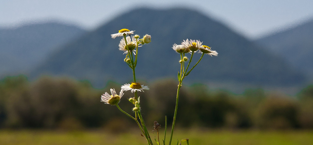 Фотографія Бекстейдж / Юрій Когут / photographers.ua