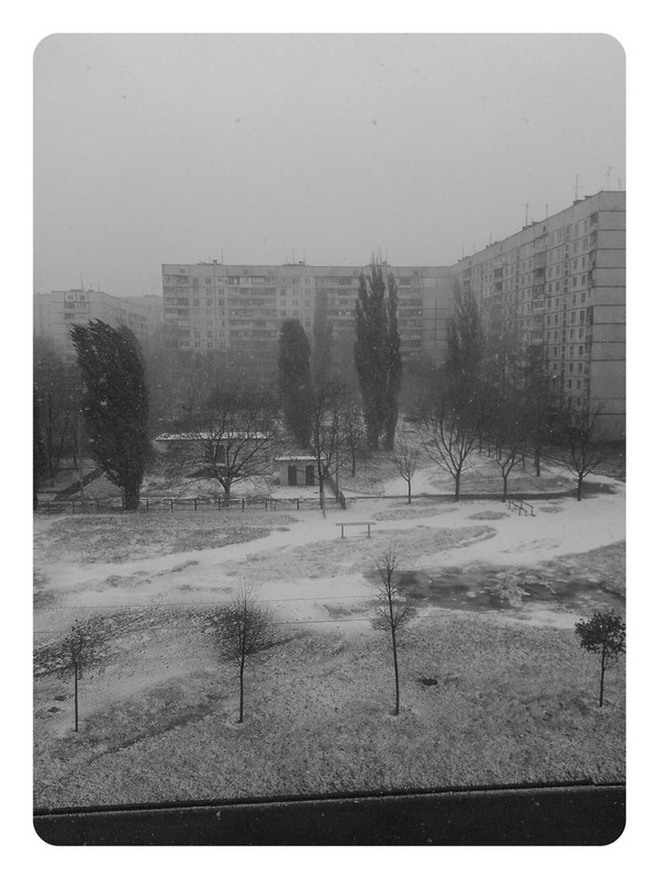 Фотографія Осенний снегопад. / Сорока Юрій / photographers.ua