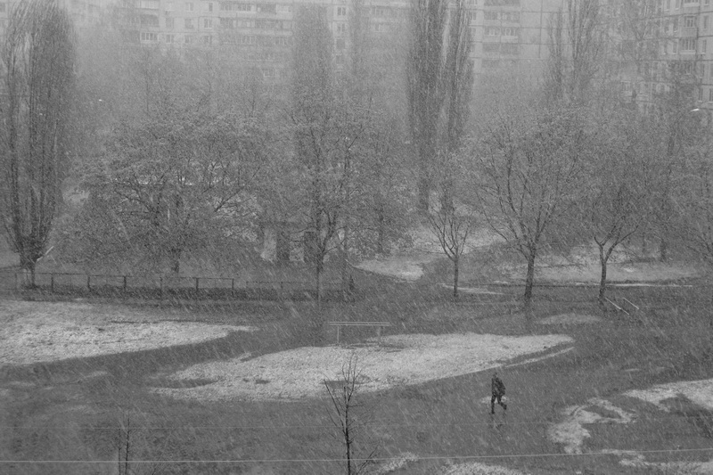 Фотографія Сквозь непогоду... / Сорока Юрій / photographers.ua
