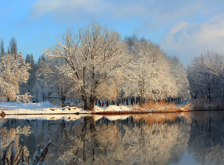 Фотографія зимний пруд / Сорока Юрій / photographers.ua
