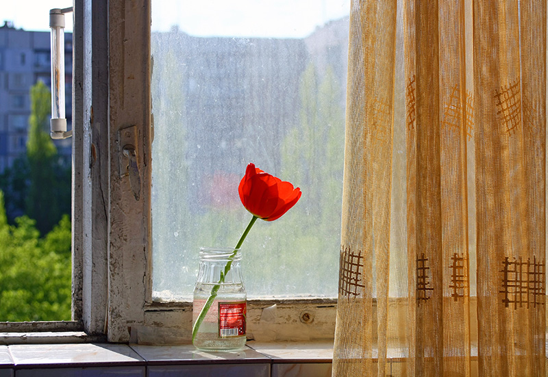Фотографія Весна в городе... / Сорока Юрій / photographers.ua