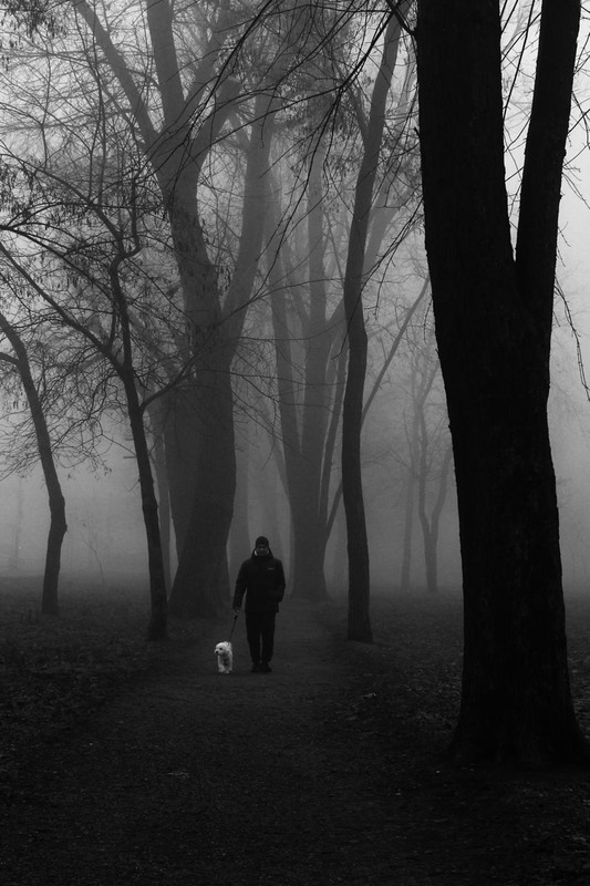 Фотографія Прогулянка у чорно-білий день. / Сорока Юрій / photographers.ua