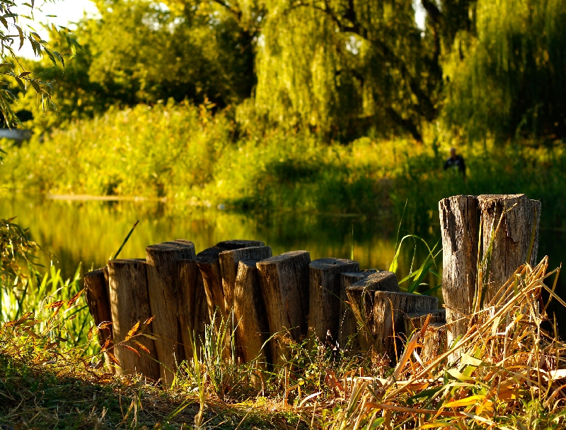 Фотографія Вечер августа. / Сорока Юрій / photographers.ua