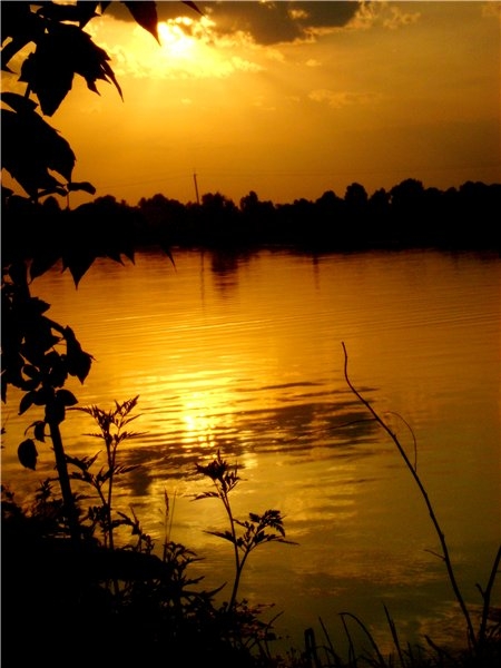 Фотографія Погребы / _Anastasiya_ / photographers.ua