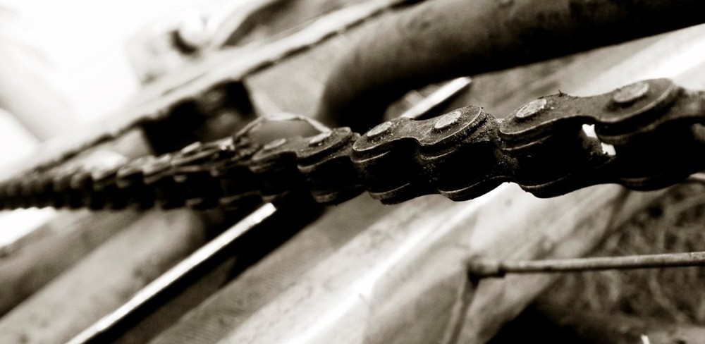 Фотографія Макро / Волошин Олександр / photographers.ua