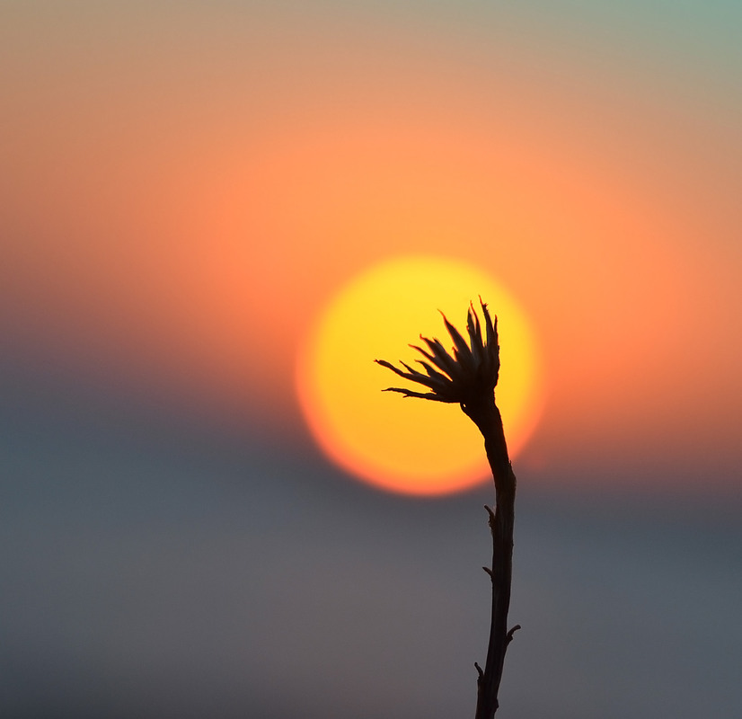 Фотографія У колі магічного світла / Анатолий Жучинский / photographers.ua