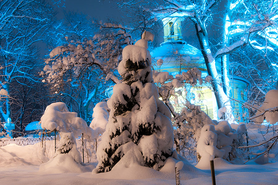 Фотографія True winter... / Aleksandr Zikunov / photographers.ua