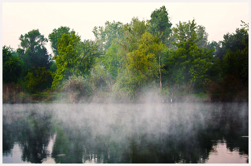 Фотографія Утро на берегу реки / Lesha Zimoglyad / photographers.ua