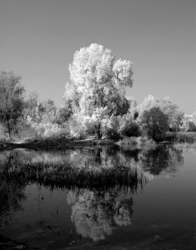 Фотографія Пейзаж / Ольга / photographers.ua