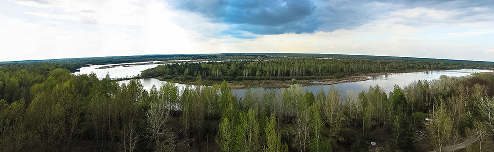 Фотографія Вид из Припяти на залив Семиходский Старик / Zuev Vadim / photographers.ua