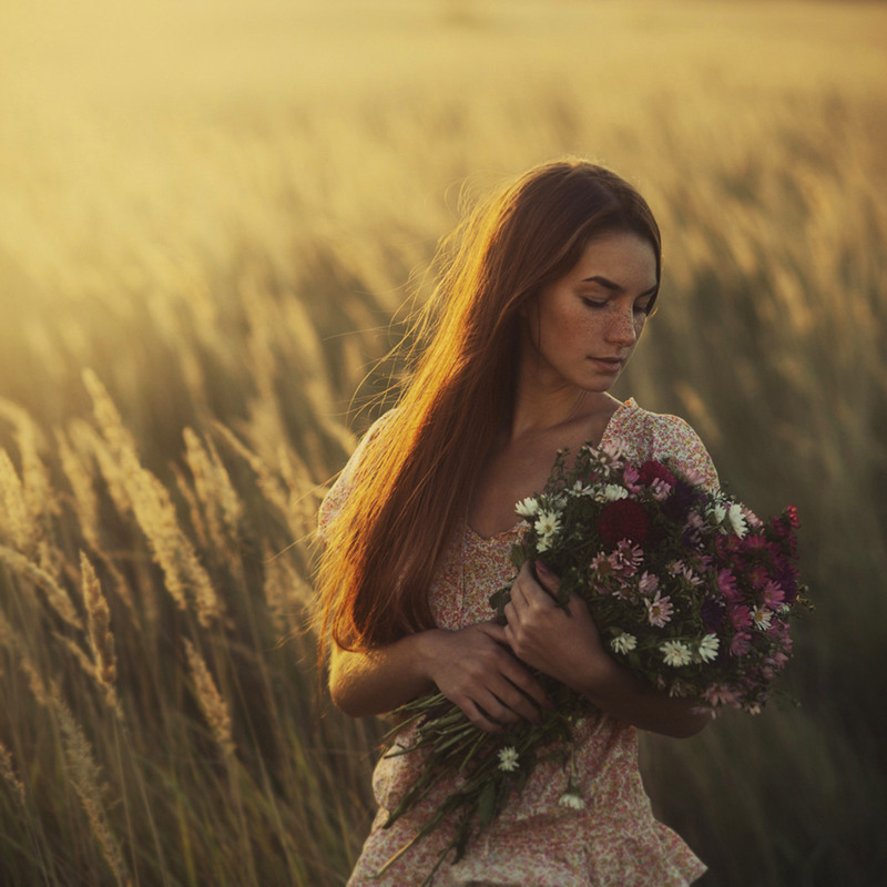 Фотографія полевые цветы / Давид  Д / photographers.ua