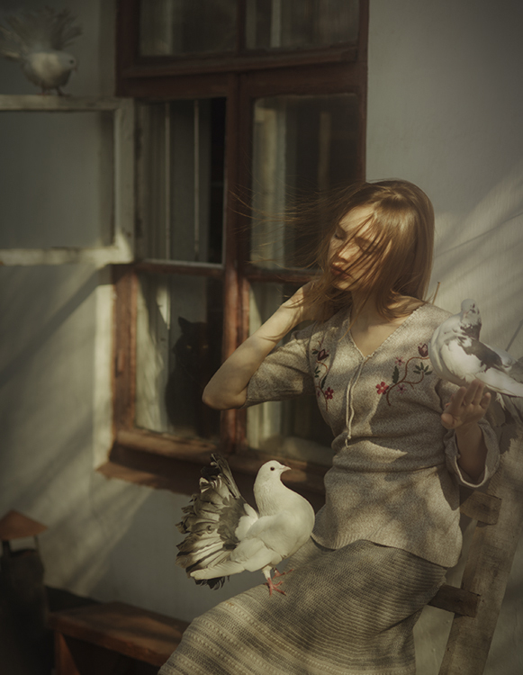 Фотографія Любовь и голуби. / Давид  Д / photographers.ua