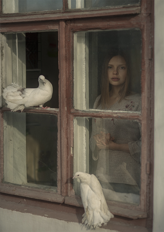 Фотографія Любовь и  голуби / Давид  Д / photographers.ua