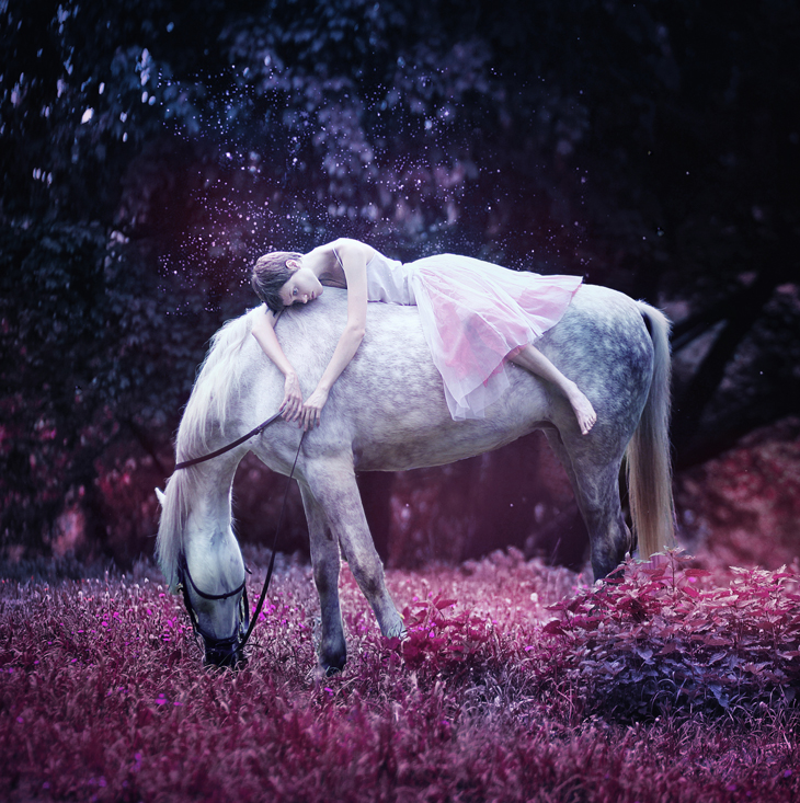Фотографія pink dreams / Anna Gusarova / photographers.ua