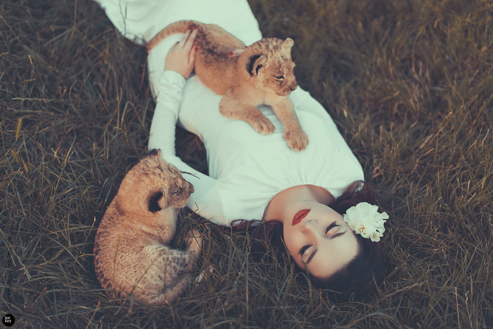 Фотографія Sleeping With Lions #1 / Lee Key / photographers.ua