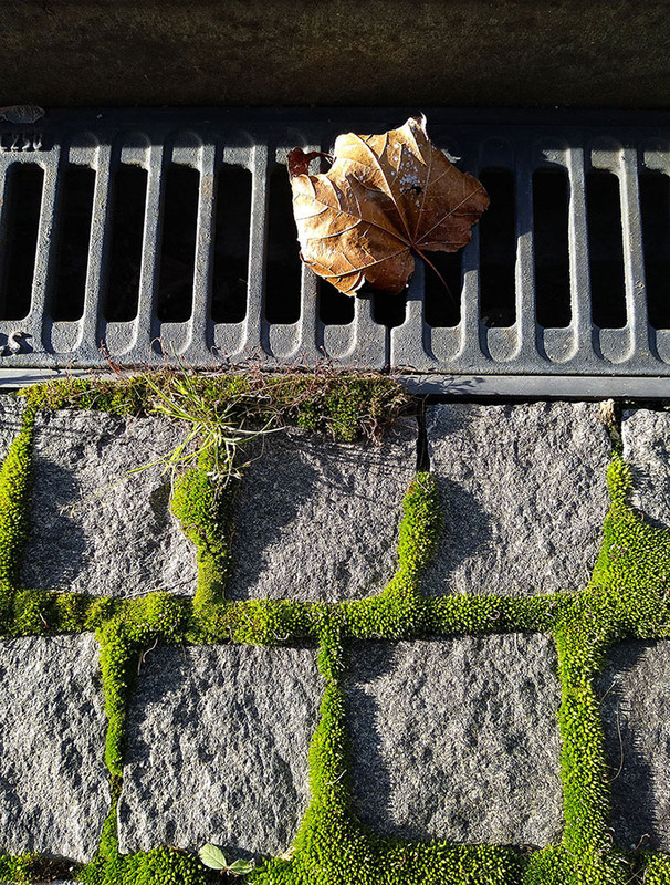 Фотографія Разное / Дмитро Кравченко / photographers.ua