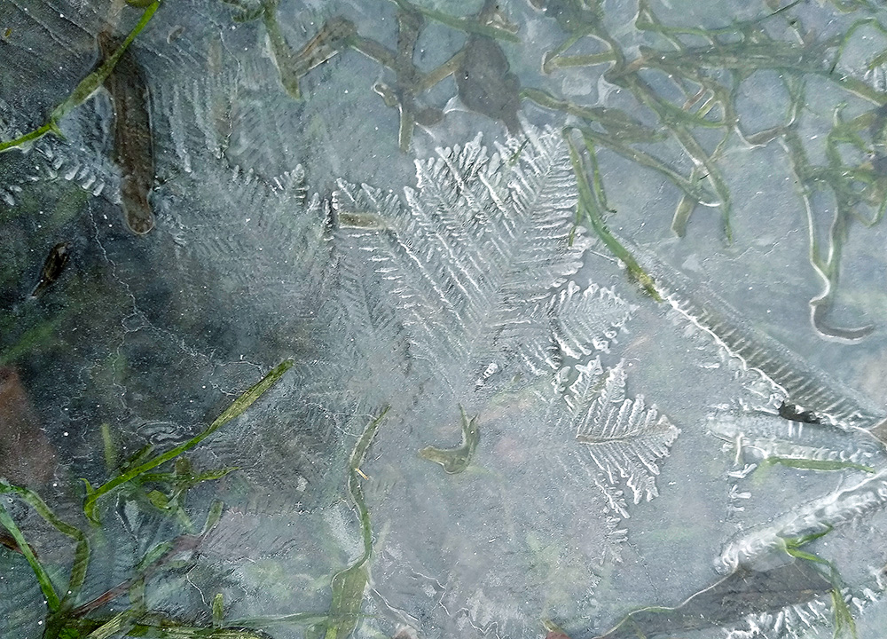 Фотографія Winter Is Coming / Дмитро Кравченко / photographers.ua