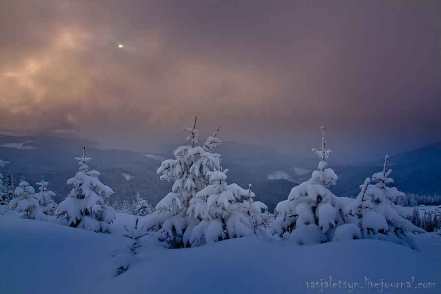 Фотографія Новорічна відкритка / Василь Лецин / photographers.ua