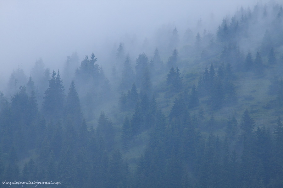 Фотографія Карпатські тумани / Василь Лецин / photographers.ua