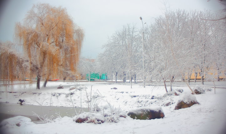 Фотографія первый снег* / Кудровский Сергей Иванович / photographers.ua