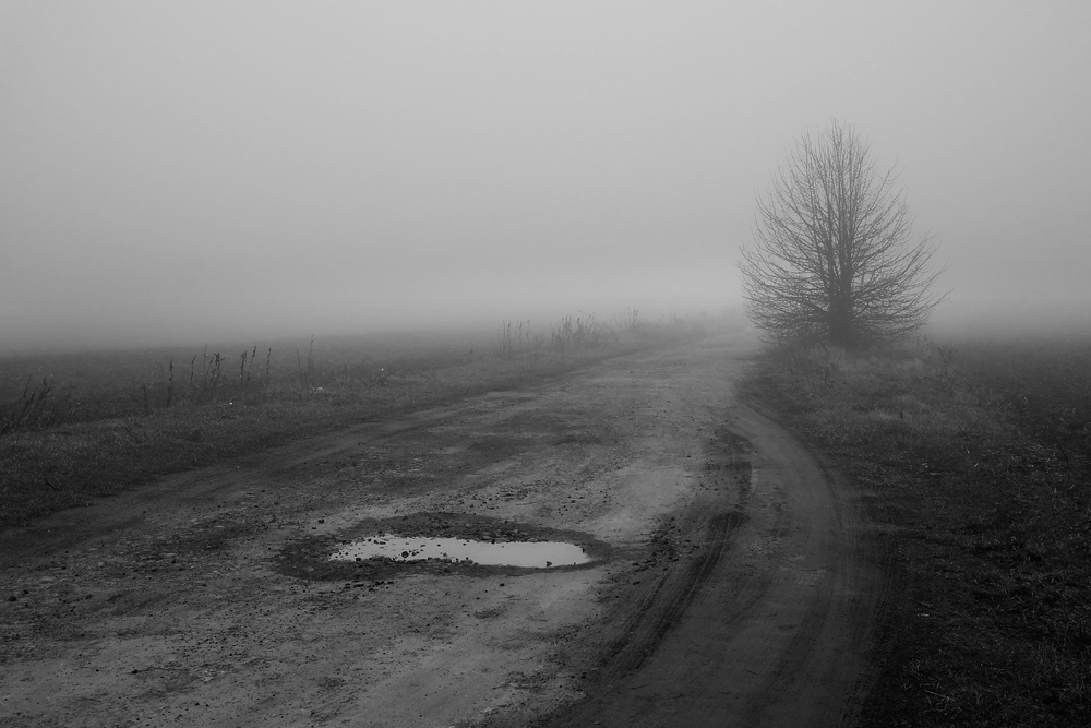 Фотографія Лег туман... / Владимир Сорока / photographers.ua