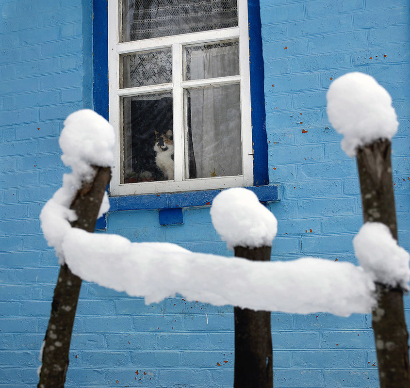 Фотографія Первый снег / Владимир Сорока / photographers.ua
