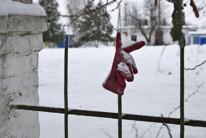 Фотографія из зимнего... / Владимир Сорока / photographers.ua