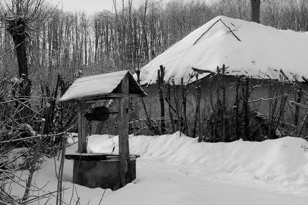 Фотографія Черно-белая зима... / Владимир Сорока / photographers.ua