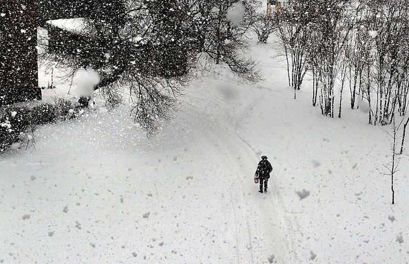 Фотографія Перший сніг / Владимир Сорока / photographers.ua
