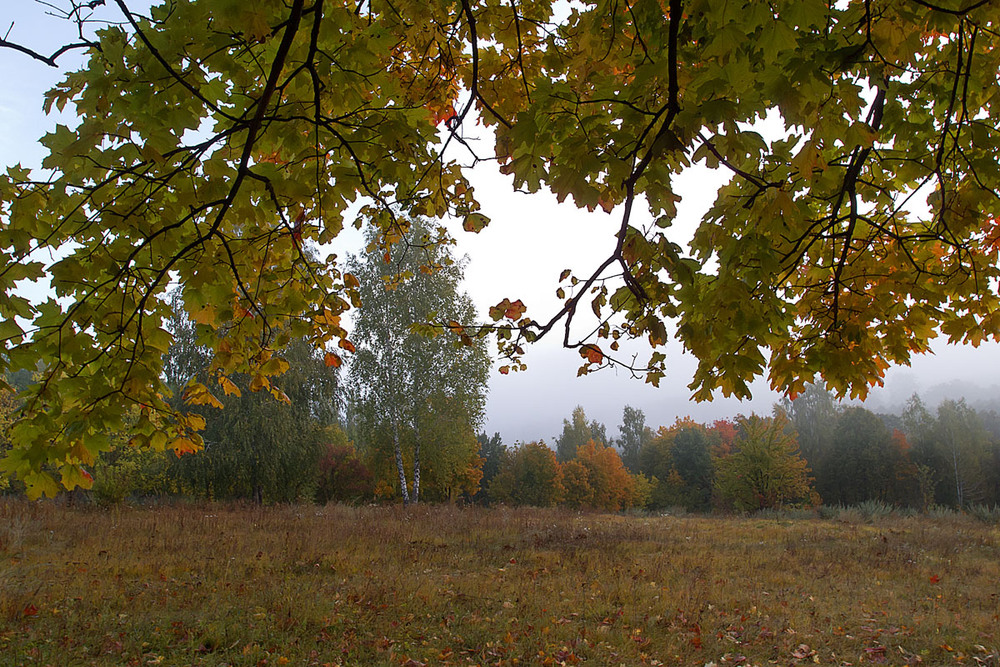 Фотографія Про осінь... / Владимир Сорока / photographers.ua