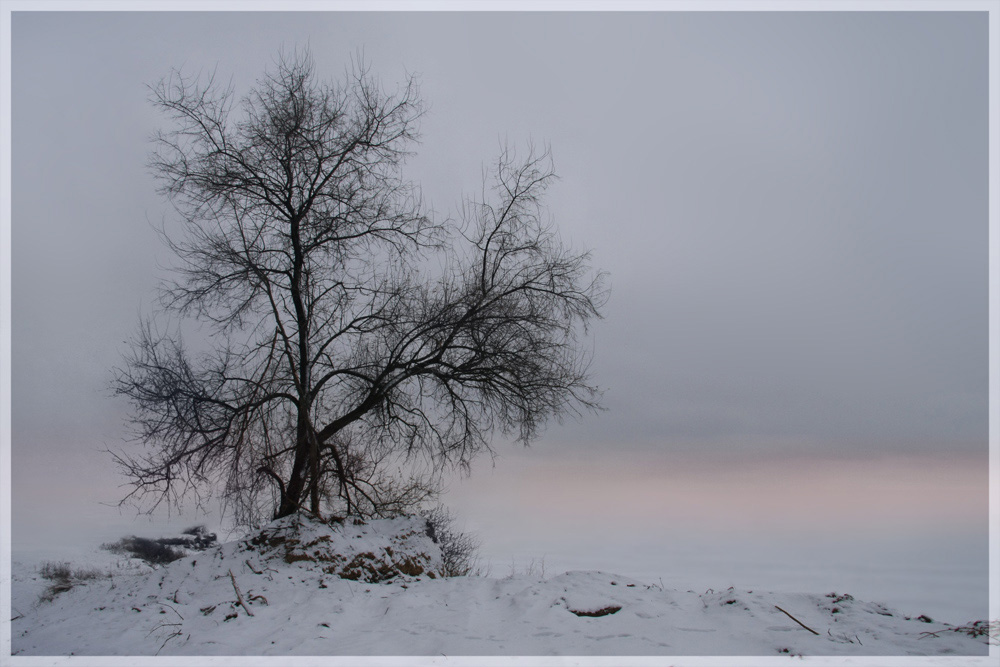 Фотографія Пейзаж / Татьяна Руднева / photographers.ua