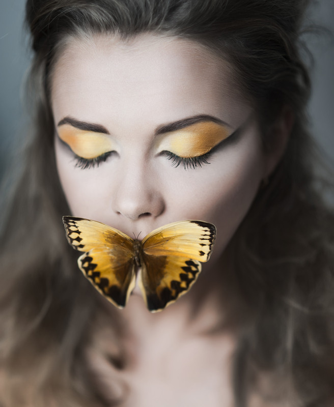 Фотографія butterfly / Владислав Спивак / photographers.ua