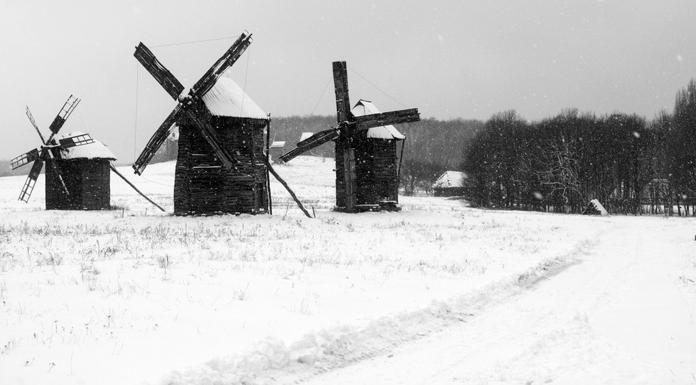 Фотографія *** / Дмитрий Витвицкий / photographers.ua