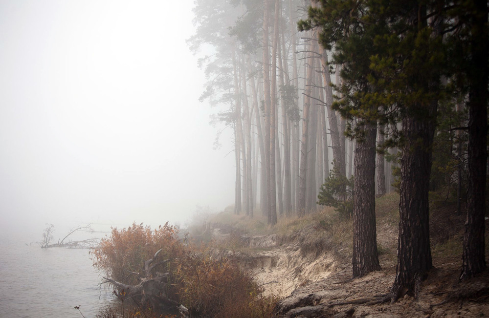 Фотографія Листопад. / Horan / photographers.ua