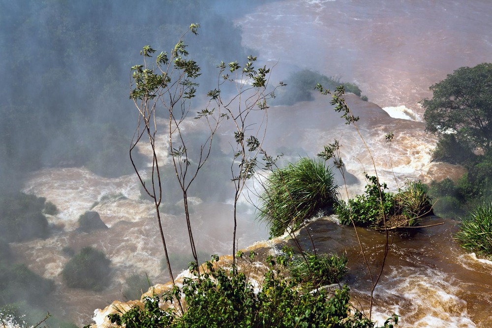 Фотографія Iguassu Falls / Horan / photographers.ua