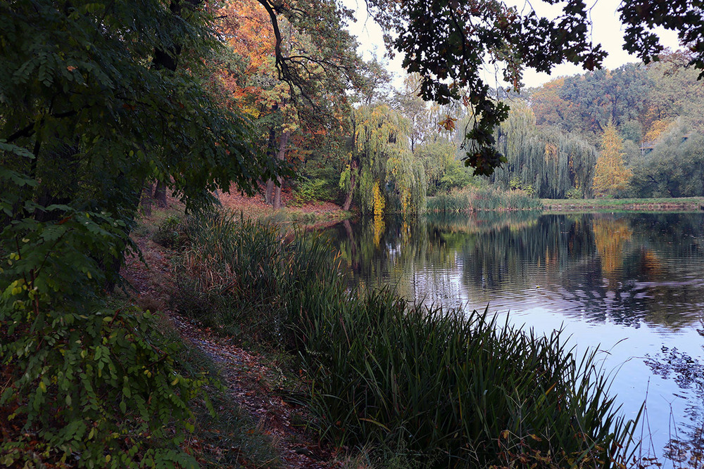 Фотографія Парк Нивки / Horan / photographers.ua